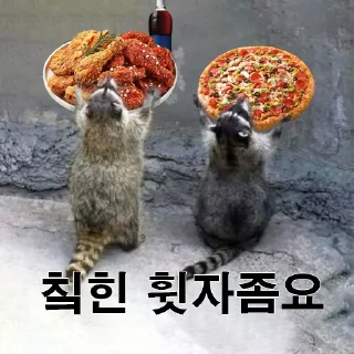 Telegram sticker 🥰 donjomyo