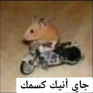 Video sticker 🙌 مرنمرنمرن 2