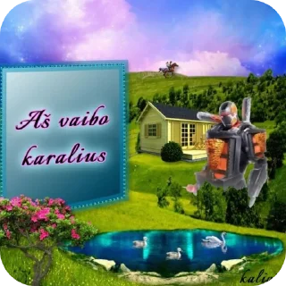 Video sticker 🌌 shyza