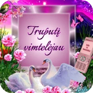 Video sticker 🌸 shyza