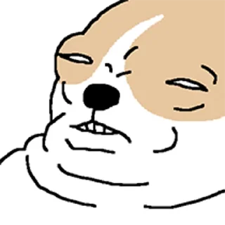 Video sticker 😀 치왈왈