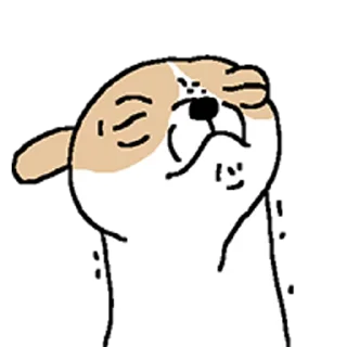 Video sticker 😀 치왈왈