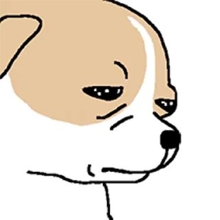 Video sticker 😀 치왈왈