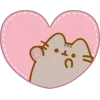 Video sticker 💘 pusheen.icu34 @TgE...