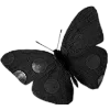 Sticker 🦋 🖤