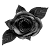 Sticker 🌹 🖤