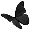 Sticker 🦋 🖤