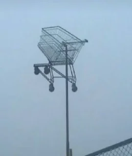 Video sticker 🌟 weird stuff :: @fStikBot