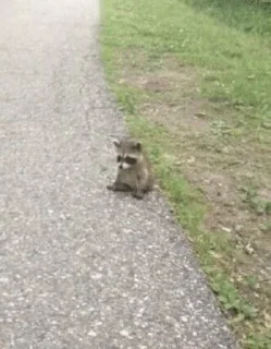 Telegram sticker 😔 weird stuff :: @fStikBot