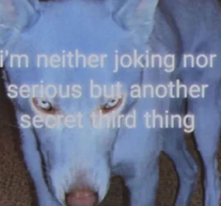 Video sticker 🐺 weird stuff :: @fStikBot