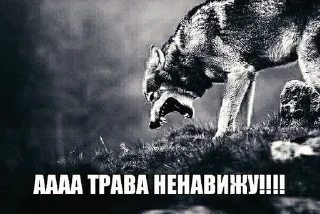 Telegram sticker 🐺 Больше стиков тут: @stikery4