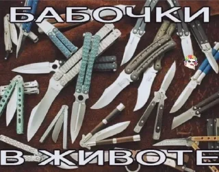 Video sticker 🦋 Больше стиков тут: @stikery4