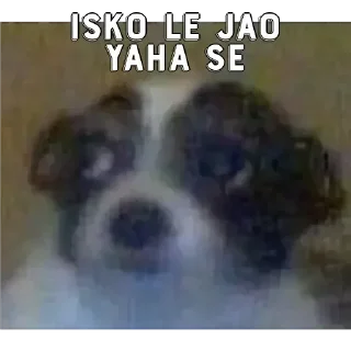 Telegram stiker 🙂 gaara