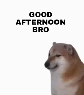 Video sticker ☀ Cheems// @doge69 // @ZoldyckStickers
