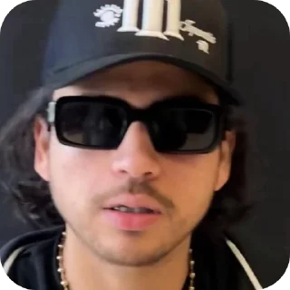 Video sticker 😎 Tigre 🐯