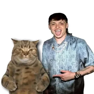 Телеграм стикер 🐱 Tigre 🐯
