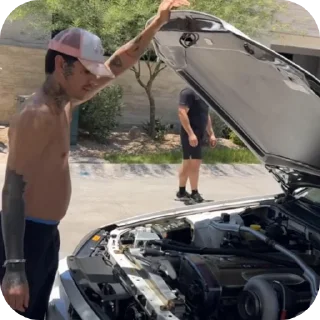 Телеграм стикер 🚗 Tigre 🐯