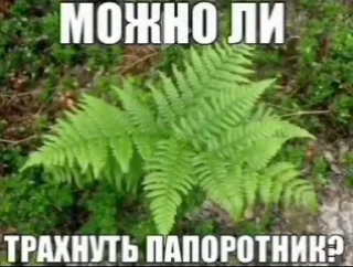 Telegram sticker 🌱 холодильник @marsutko99