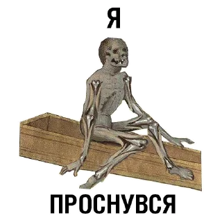 Video sticker ☀️ ДУШНАЯ1