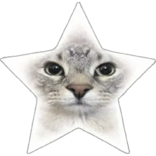 Video sticker ☀️ ДУШНАЯ1