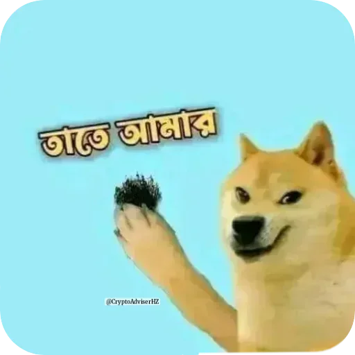 Telegram sticker 💀 🙂🙂