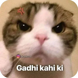 Telegram sticker 🥹 Pookies🎀 @Blemiishiing_Adrija_69 @meowsies_meow