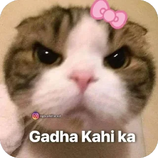 Telegram sticker 🫥 Pookies🎀 @Blemiishiing_Adrija_69 @meowsies_meow