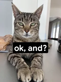 Telegram sticker 🤔 ɢᴏᴠᴇʀɴᴍᴇɴᴛ's Stolen Pack