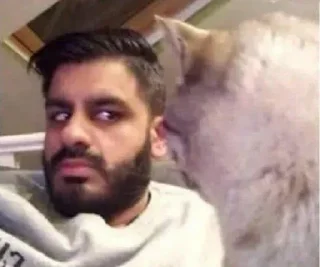 Telegram sticker 🤔 ɢᴏᴠᴇʀɴᴍᴇɴᴛ's Stolen Pack