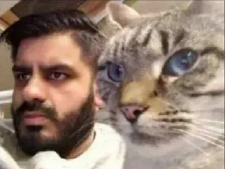 Video sticker 🤔 ɢᴏᴠᴇʀɴᴍᴇɴᴛ's Stolen Pack