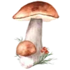 Sticker 🍄 Уютныши от @olesyaow