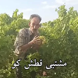 Video sticker 😂 @EnPanelBot 👈خرید ممبر واقعی