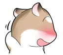 Video sticker ☺️ Pudding Hamster @tikelku