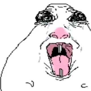 Video sticker 😃 смехуятина