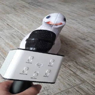 Video sticker 🎤 Goose BLOPTOP