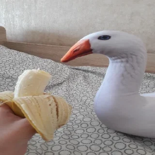 Telegram sticker 🍌 Goose BLOPTOP