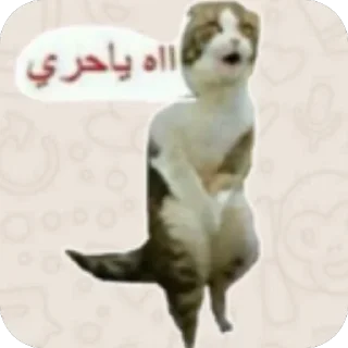 Telegram sticker 🫥 Raja