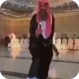 Telegram sticker 🫥 Raja