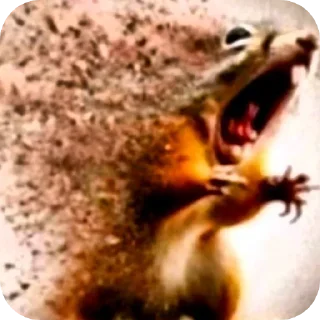 Video sticker 🫥 Vsrato