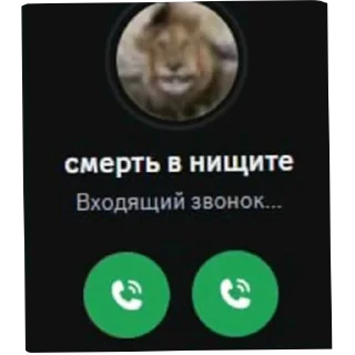 Telegram sticker 🦁 Vsrato