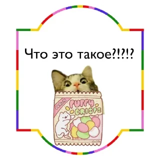 Video sticker 🐱 Больше стикеров тут: @stikery_emodzi_memy