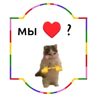Video sticker 🧸 Больше стикеров тут: @stikery_emodzi_memy