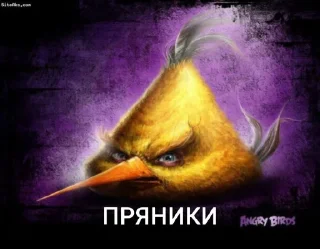 Telegram sticker 🤩 Максимально не удобно @Tlokerihe1