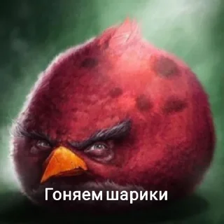 Telegram sticker 🤩 Максимально не удобно @Tlokerihe1