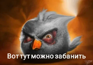 Video sticker 🤩 Максимально не удобно @Tlokerihe1