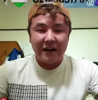 Video sticker 🤩 52 pack :: @fStikBot