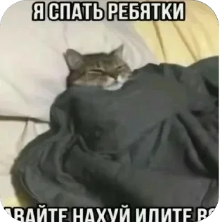 Telegram sticker 🫥 🤚🏻🤚🏻🤚🏻 спасибо