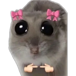 Video sticker 🥺 KUDAR