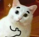 Telegram sticker 👍 MM