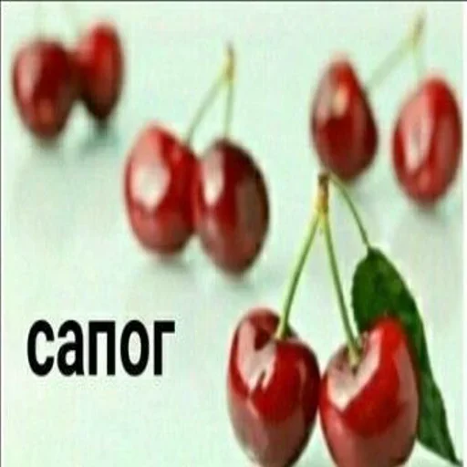 Telegram stiker 👌 Больше стиков тут: @stikery4